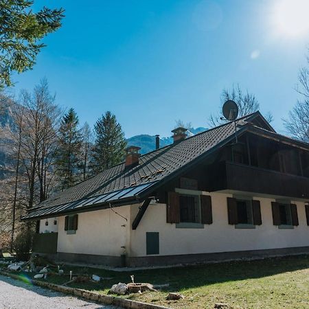 Tuba Apartments Bohinj ภายนอก รูปภาพ